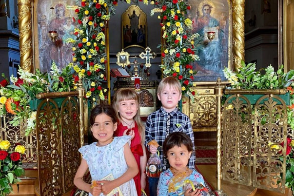 Галерея лучших фото