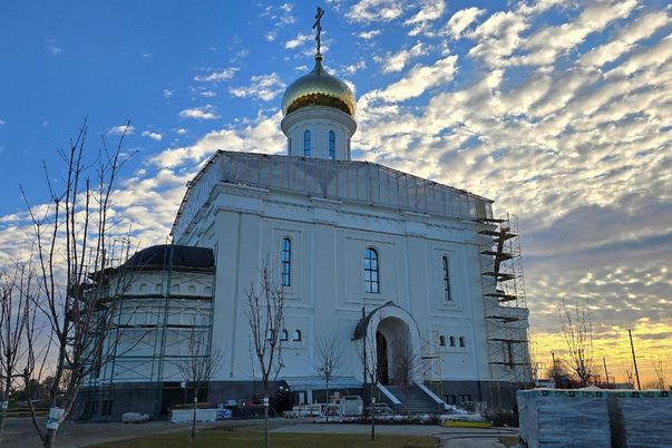 Галерея лучших фото