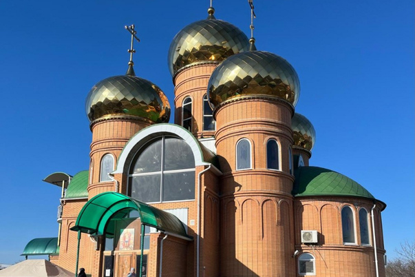 Галерея лучших фото