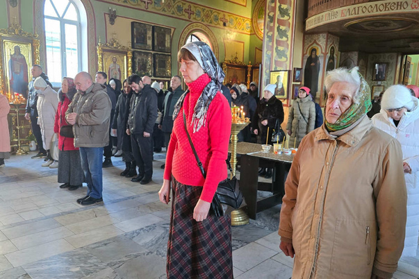 Галерея лучших фото