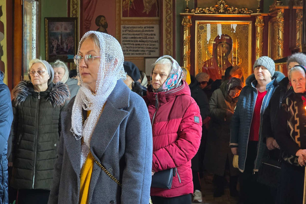 Галерея лучших фото