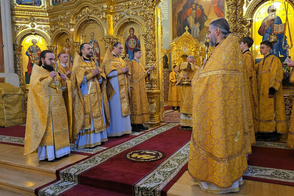 Галерея лучших фото