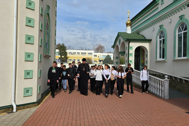 Галерея лучших фото