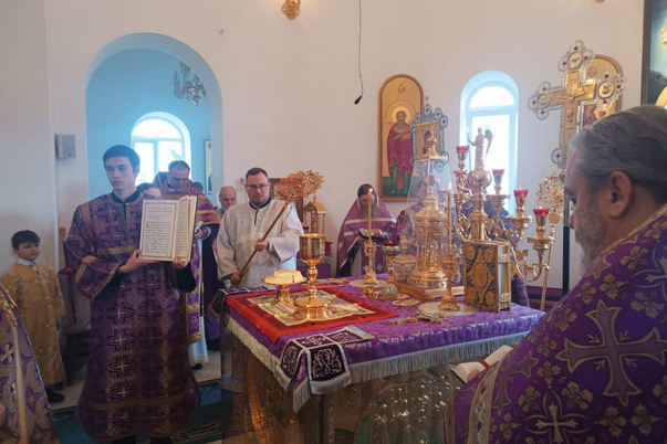 Галерея лучших фото