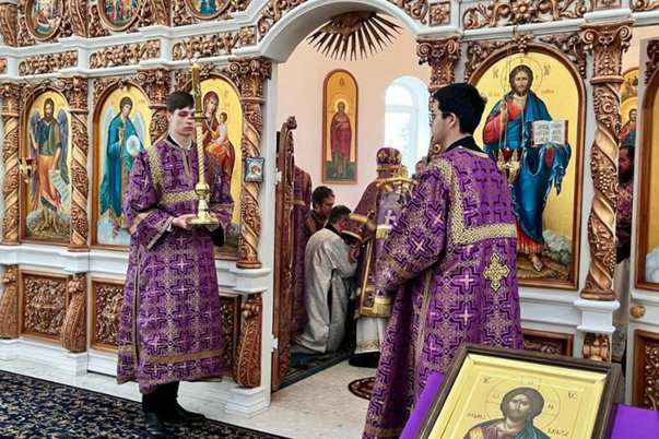 Галерея лучших фото