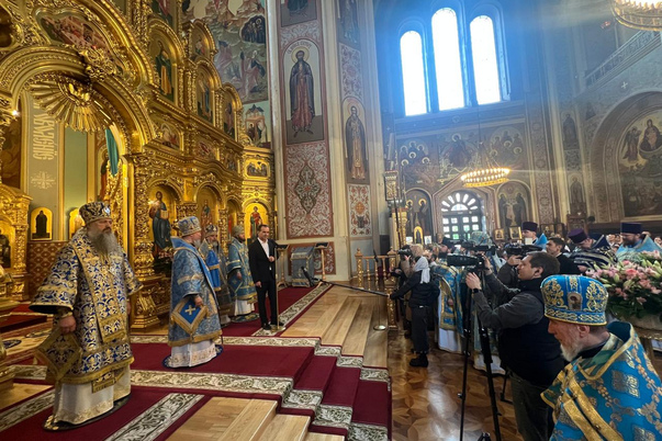 Галерея лучших фото