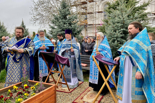 Галерея лучших фото