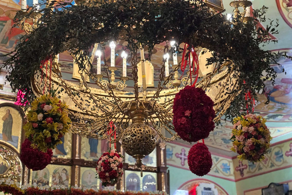 Галерея лучших фото