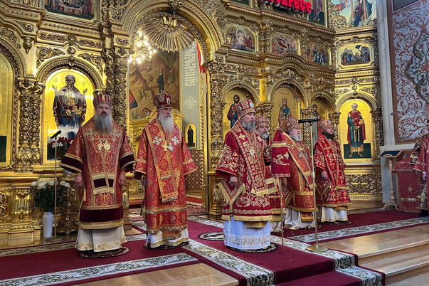 Галерея лучших фото