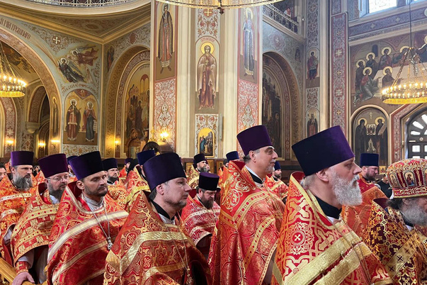 Галерея лучших фото