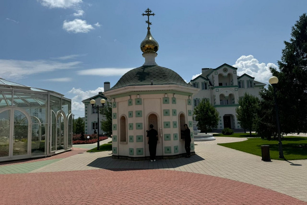 Галерея лучших фото