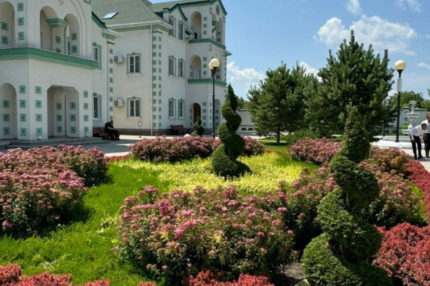 Галерея лучших фото