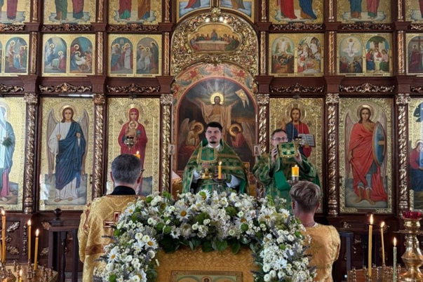 Галерея лучших фото