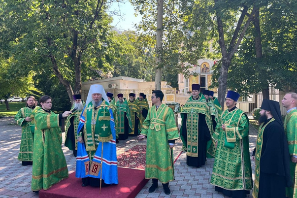 Галерея лучших фото