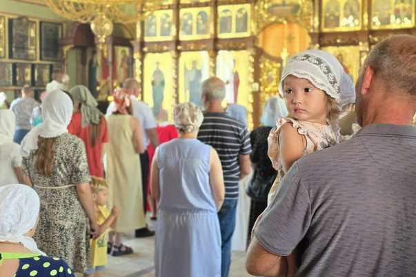 Галерея лучших фото