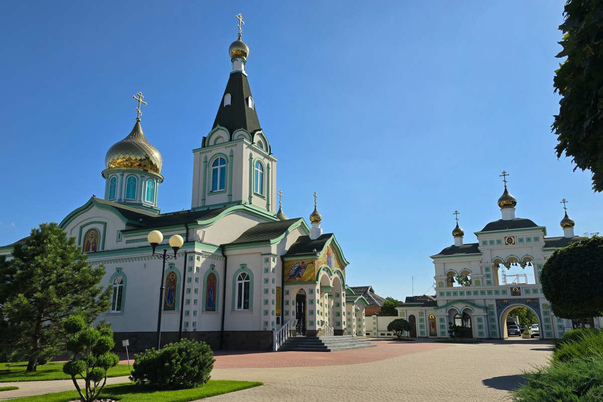 Галерея лучших фото