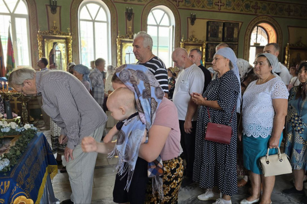 Галерея лучших фото