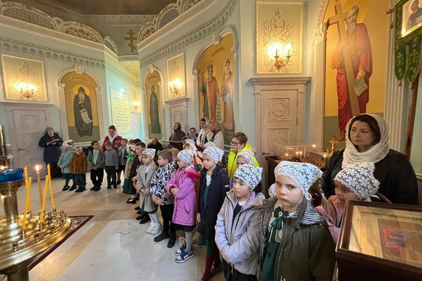 Галерея лучших фото