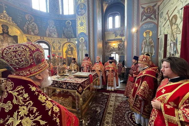 Галерея лучших фото