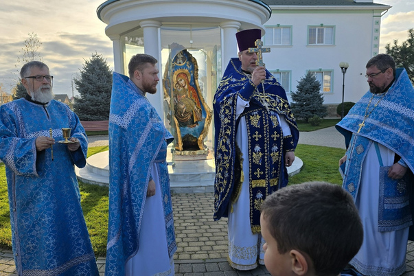 Галерея лучших фото