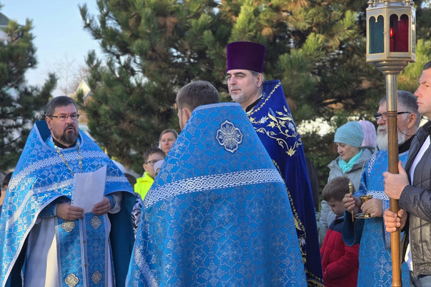 Галерея лучших фото