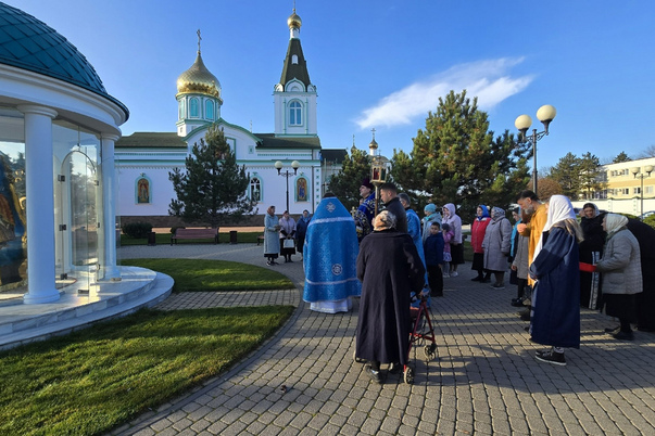 Галерея лучших фото