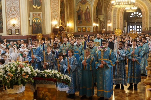 Галерея лучших фото