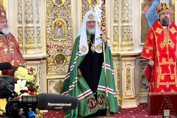 Галерея лучших фото