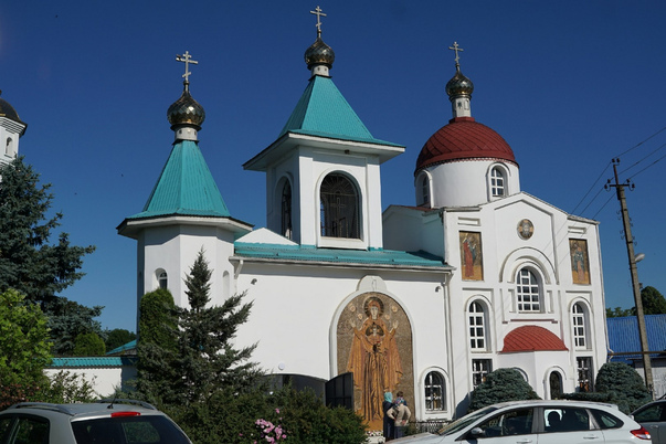 Галерея лучших фото