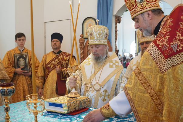Галерея лучших фото