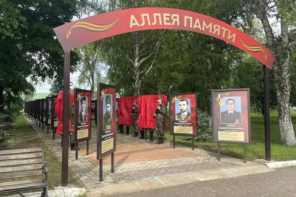 Галерея лучших фото