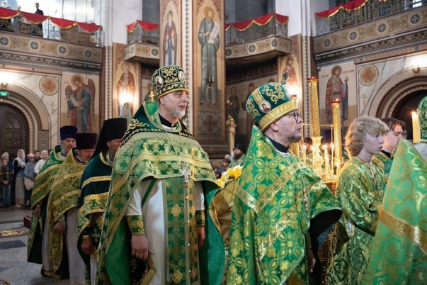 Галерея лучших фото