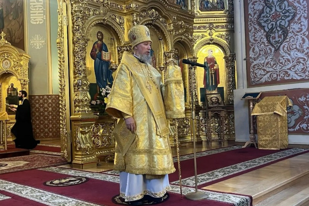 Галерея лучших фото