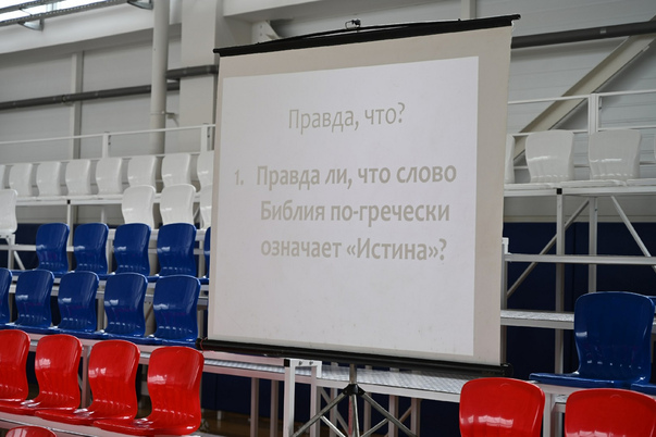 Галерея лучших фото