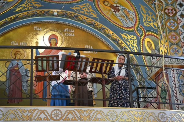 Галерея лучших фото