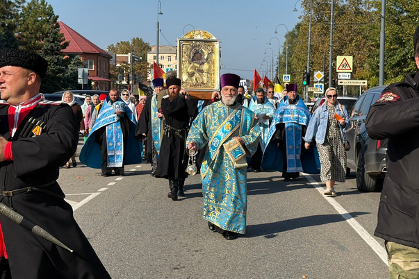 Галерея лучших фото