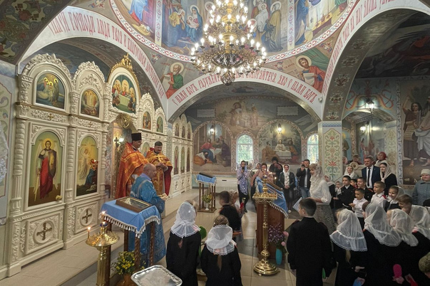 Галерея лучших фото