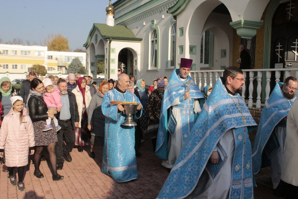 Галерея лучших фото