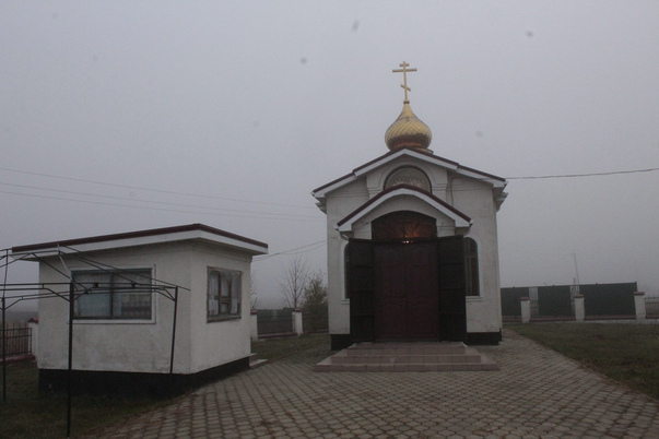 Галерея лучших фото