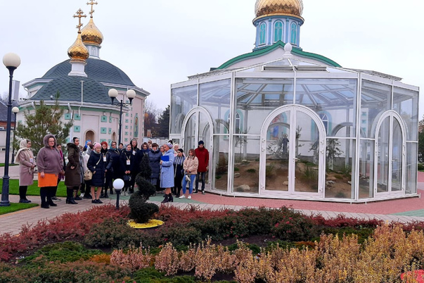 Галерея лучших фото