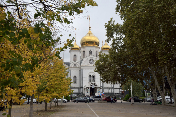 Галерея лучших фото