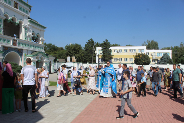 Галерея лучших фото
