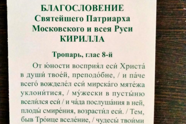 Галерея лучших фото