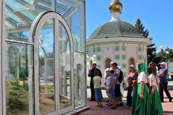 Галерея лучших фото