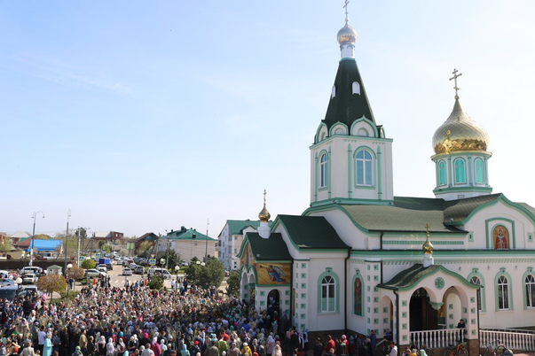 Галерея лучших фото