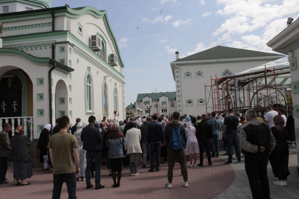 Галерея лучших фото