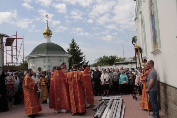 Галерея лучших фото