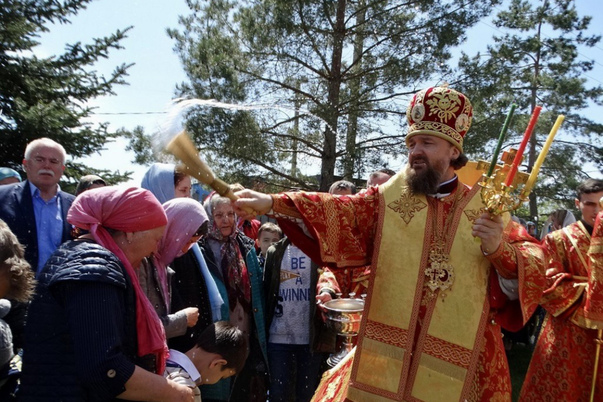 Галерея лучших фото