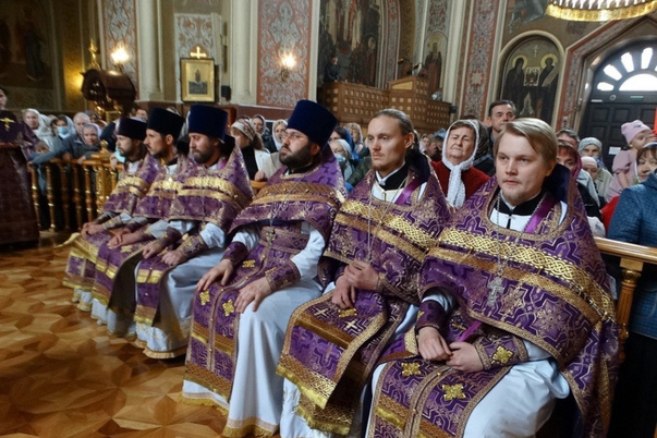 Галерея лучших фото
