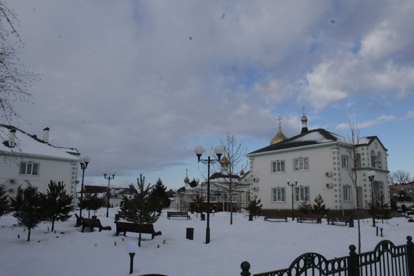 Галерея лучших фото